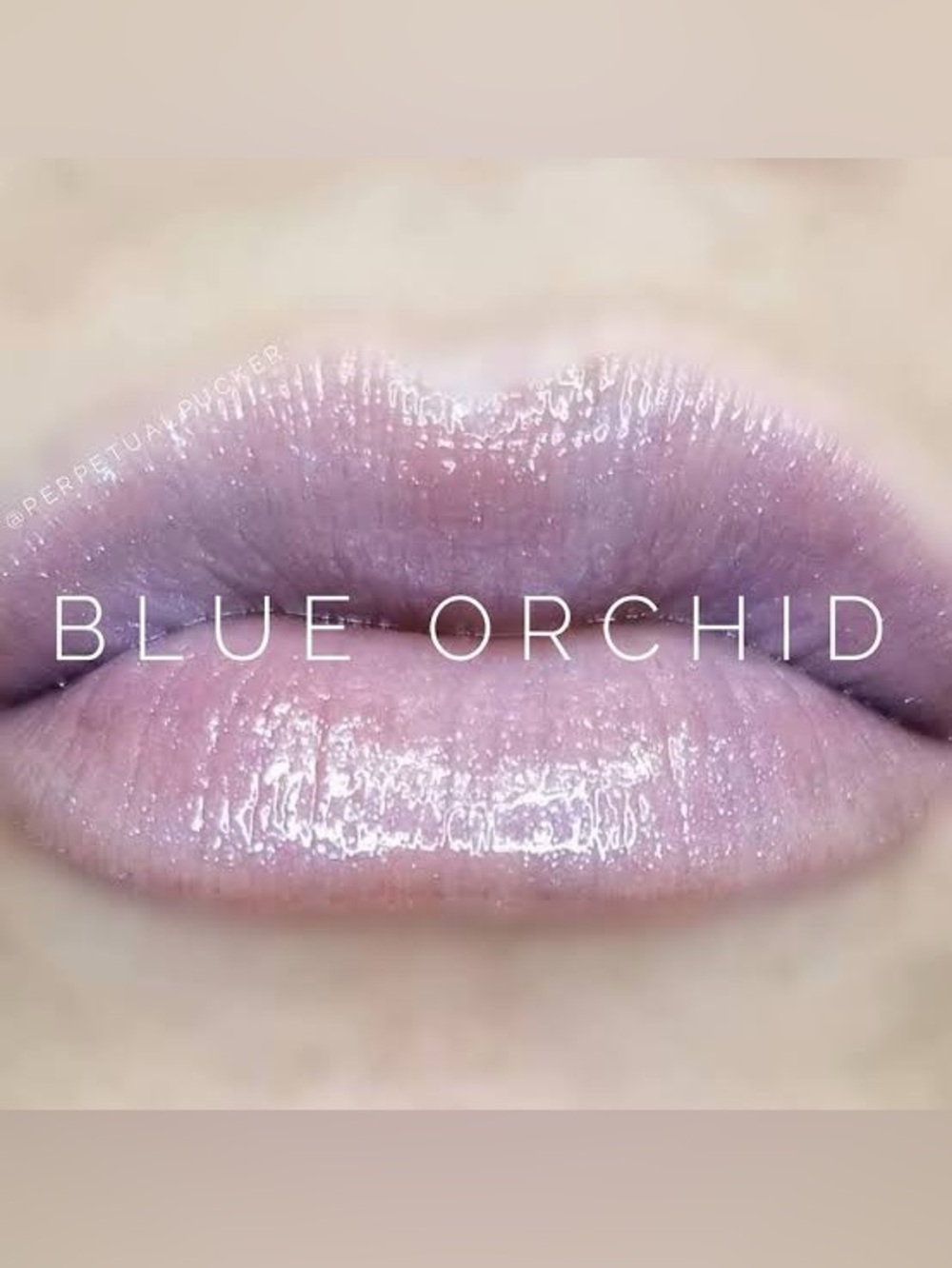 LipSense Blue Orchid Lip Gloss